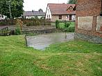 Třibřichy